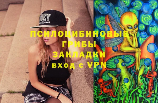 PSILOCYBIN Горнозаводск